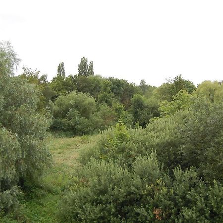 Apartment Am Steinweg Емден Екстериор снимка